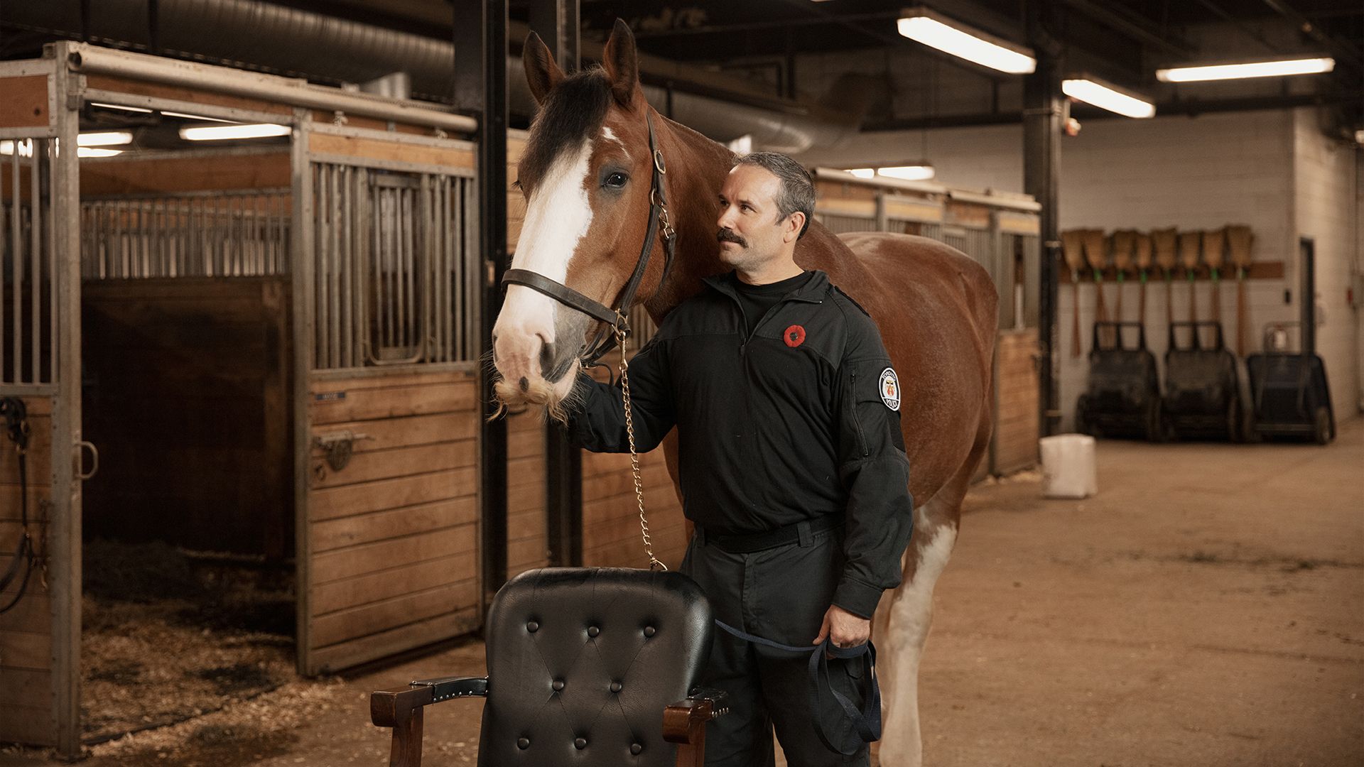 A moustachioed police offer stands next to a horse with a blonde moustache in a barn